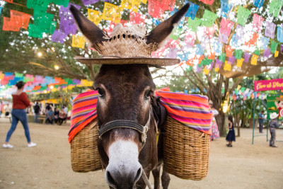 Fiesta en el rancho Vista Paraíso