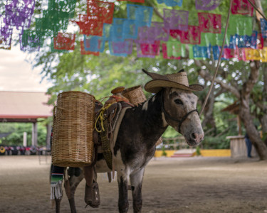 Fiesta en el rancho Vista Paraíso