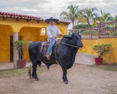 Fiesta en el rancho Vista Paraíso