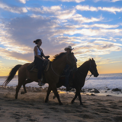 Vista Paraíso Tours y Actividades en Punta Mita, horseback riding