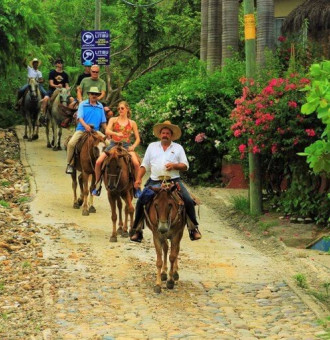 ATV + Horseback Riding Tour 6