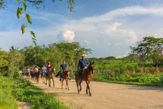 Horse-Riding-Tours-Punta-Mita-Riviera-Nayarit