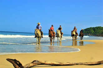 Horseback Riding Tour 8