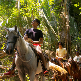 Horseback Riding Tour