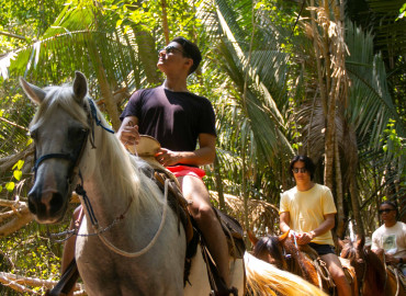 Horseback Riding Tour Horseback Riding Tour